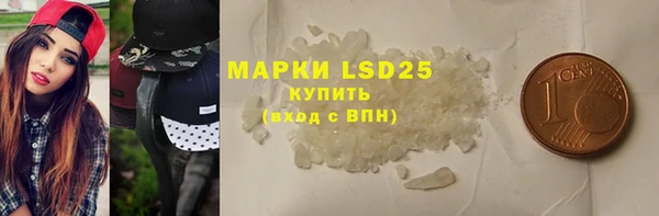 PSILOCYBIN Костерёво