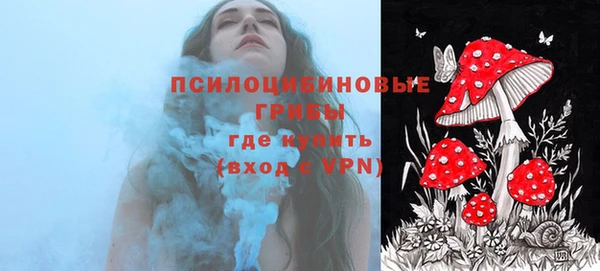 2c-b Абдулино