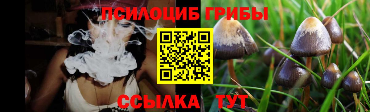 Псилоцибиновые грибы прущие грибы  Галлюциногенные грибы Magic Shrooms  Чайковский  Вход с VPN 